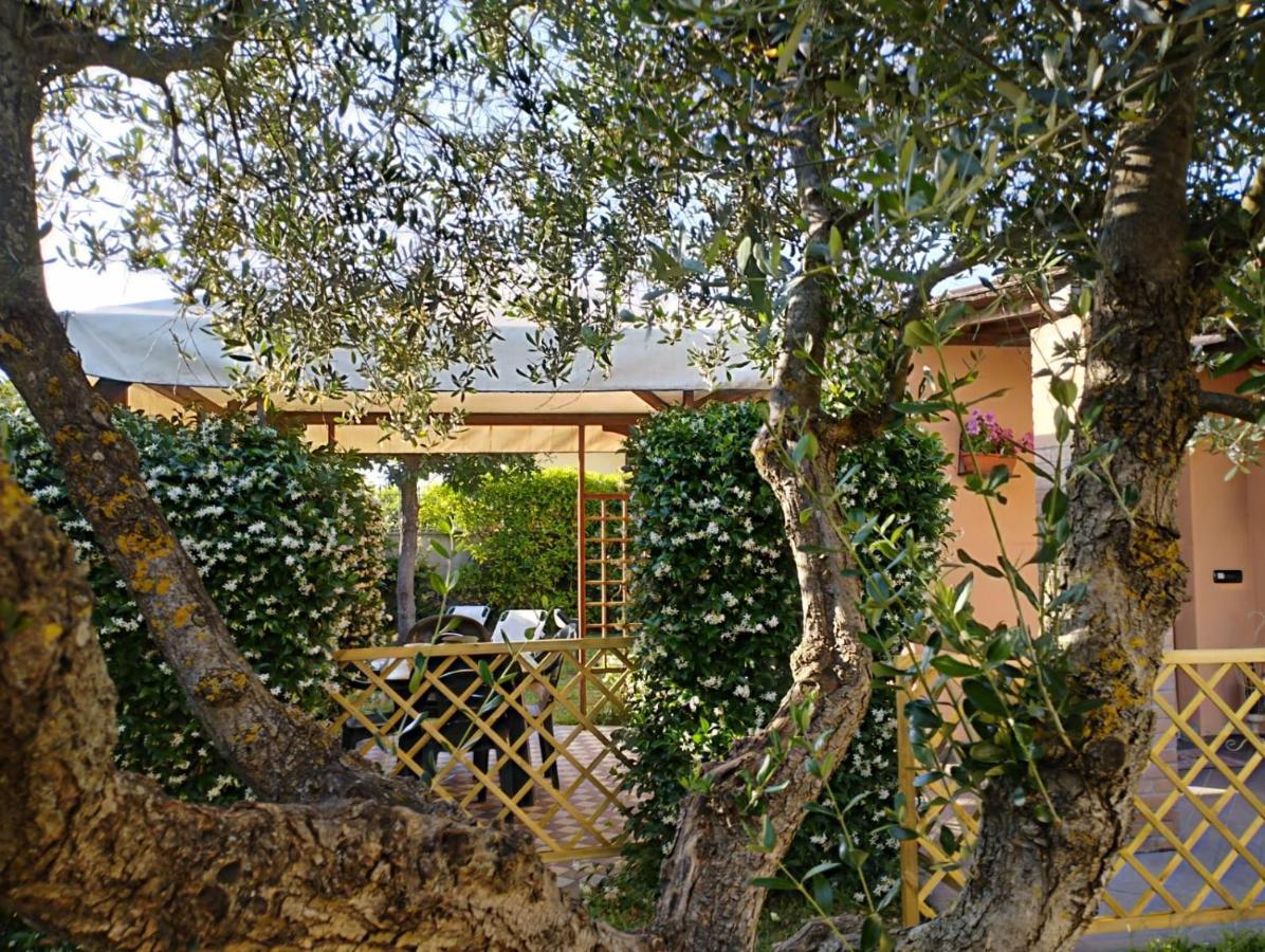 Melody House - Dependance Villa Castel del Bosco  Luaran gambar